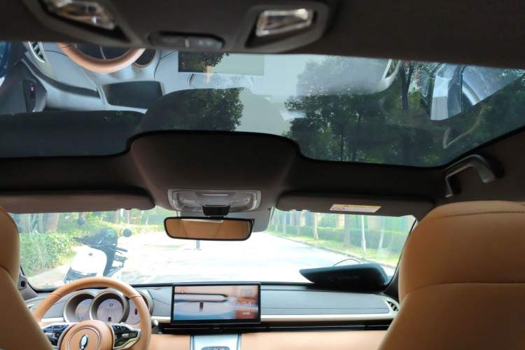 Used ORA Lightning Cat 2022 555 km Luxury Edition Headliner