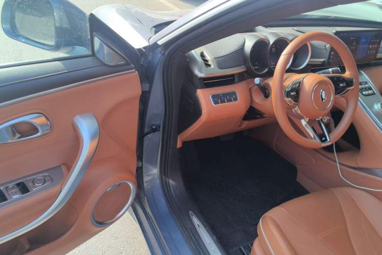 Used ORA Lightning Cat 2022 555 km Luxury Edition Interior 3