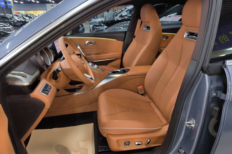 Used ORA Lightning Cat 2022 555 km Luxury Edition Left Front Seat
