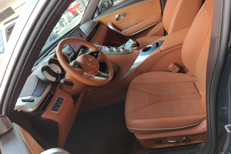 Used ORA Lightning Cat 2022 555 km Luxury Edition Left Front Seat