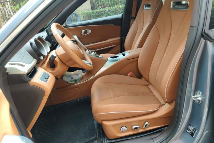 Used ORA Lightning Cat 2022 555 km Luxury Edition Left Front Seat
