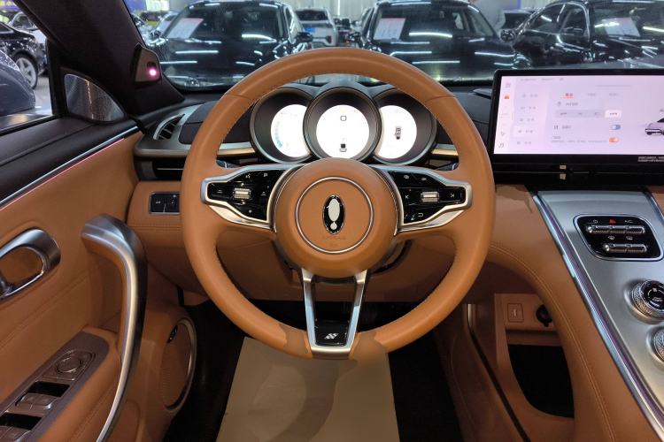 Used ORA Lightning Cat 2022 555 km Luxury Edition Steering Wheel