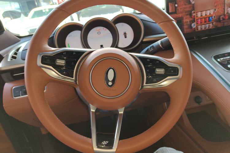 Used ORA Lightning Cat 2022 555 km Luxury Edition Steering Wheel