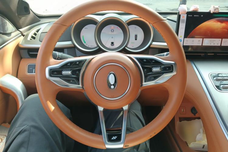 Used ORA Lightning Cat 2022 555 km Luxury Edition Steering Wheel