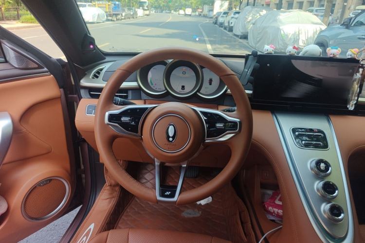 Used ORA Lightning Cat 2022 555 km Luxury Edition Steering Wheel