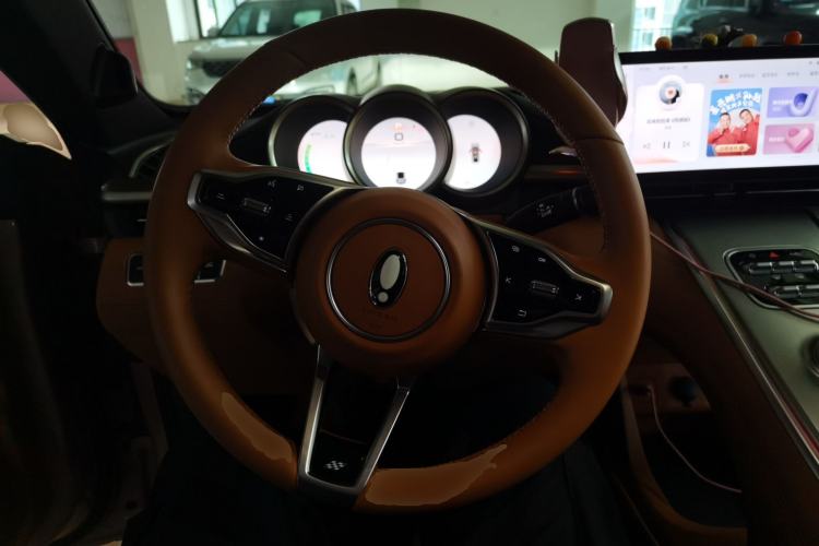 Used ORA Lightning Cat 2022 555 km Luxury Edition Steering Wheel