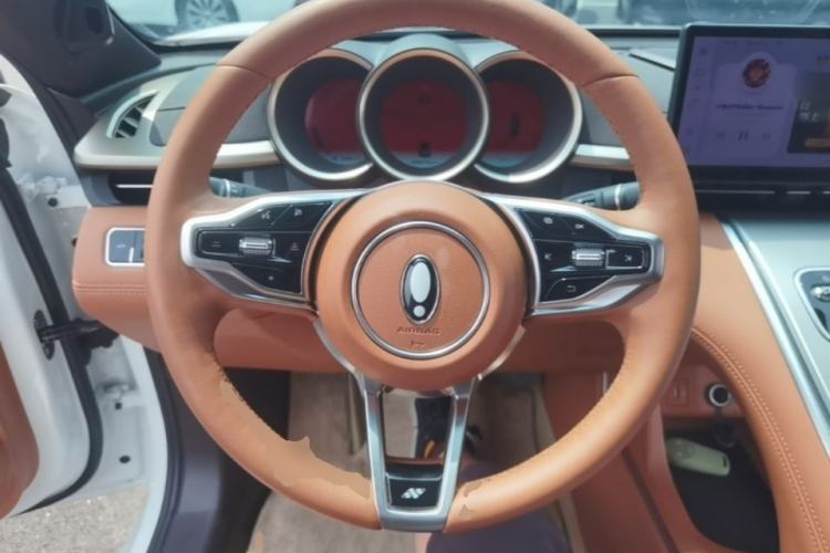 Used ORA Lightning Cat 2022 555 km Luxury Edition Steering Wheel