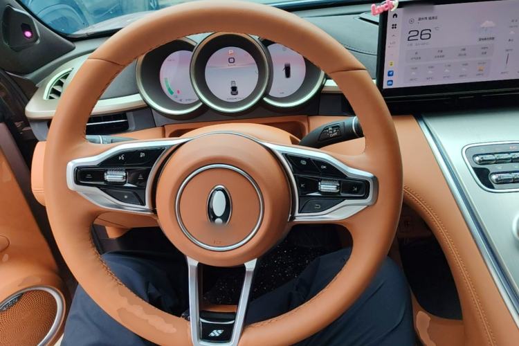 Used ORA Lightning Cat 2022 555 km Luxury Edition Steering Wheel