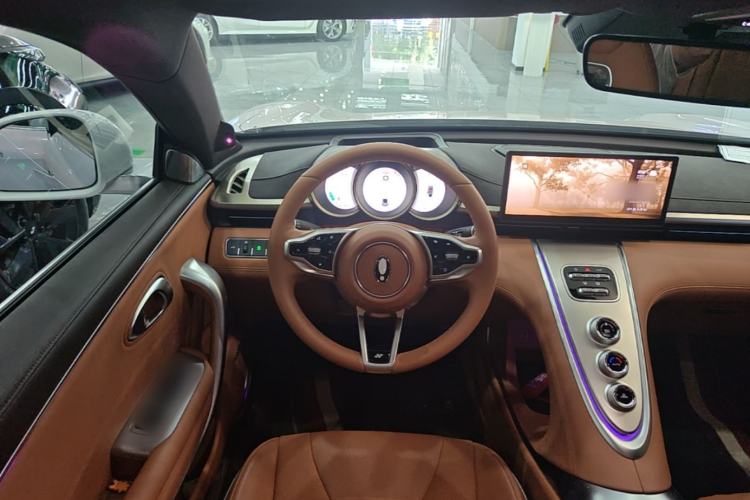 Used ORA Lightning Cat 2022 555 km Luxury Edition Steering Wheel