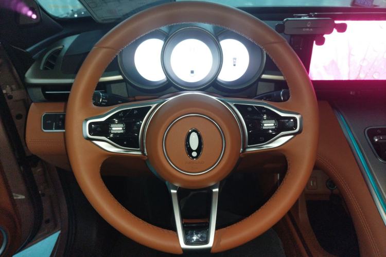Used ORA Lightning Cat 2022 555 km Luxury Edition Steering Wheel