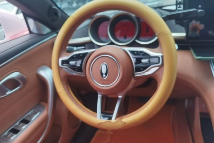 Used ORA Lightning Cat 2022 555 km Luxury Edition Steering Wheel