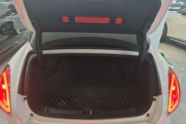 Used ORA Lightning Cat 2022 555 km Luxury Edition Trunk