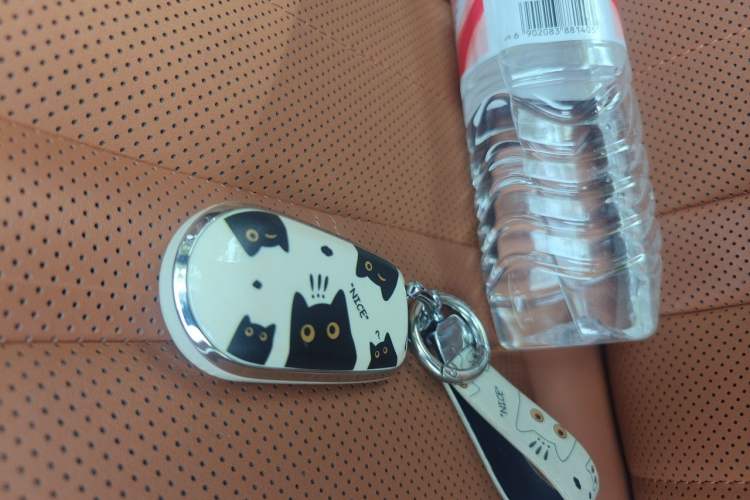 Used ORA Lightning Cat 2022 555 km Luxury Edition Vehicle Key