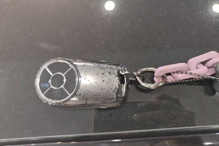 Used ORA Lightning Cat 2022 555 km Luxury Edition Vehicle Key