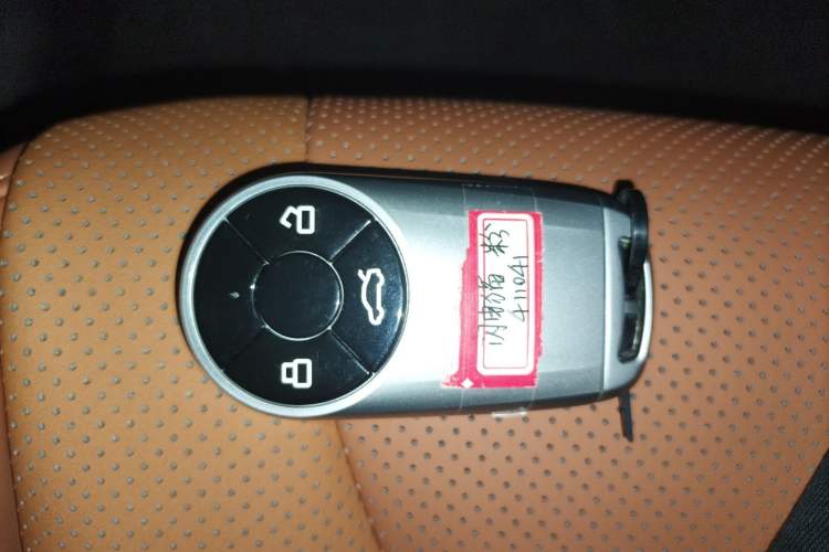 Used ORA Lightning Cat 2022 555 km Luxury Edition Vehicle Key