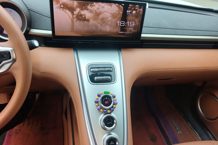 Used ORA Lightning Cat 2022 555 km Luxury Edition Audio And AC Panel