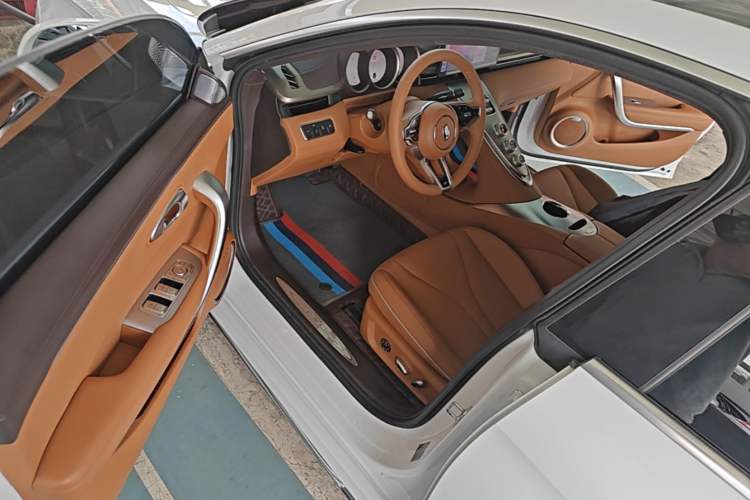 Used ORA Lightning Cat 2022 555 km Luxury Edition Driver Seat