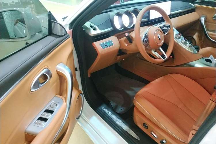 Used ORA Lightning Cat 2022 555 km Luxury Edition Driver Seat