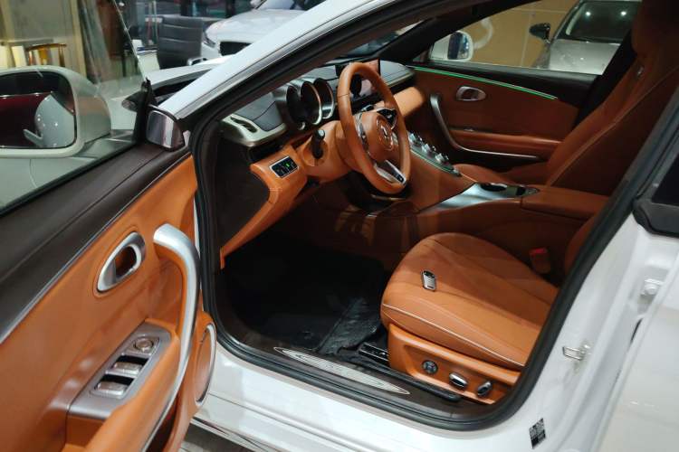 Used ORA Lightning Cat 2022 555 km Luxury Edition Driver Seat