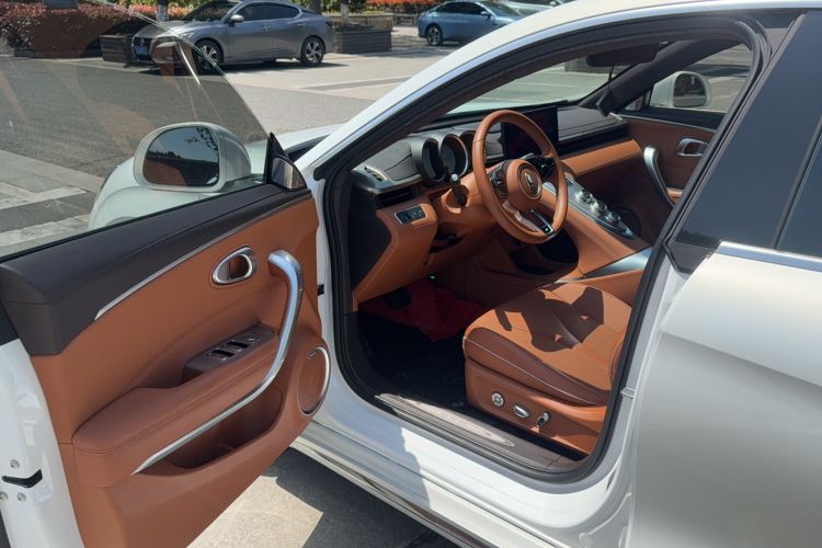 Used ORA Lightning Cat 2022 555 km Luxury Edition Driver Seat