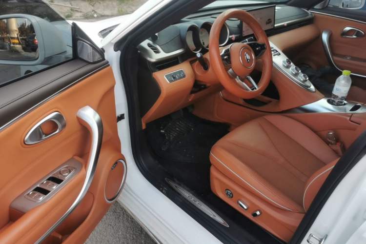 Used ORA Lightning Cat 2022 555 km Luxury Edition Driver Seat