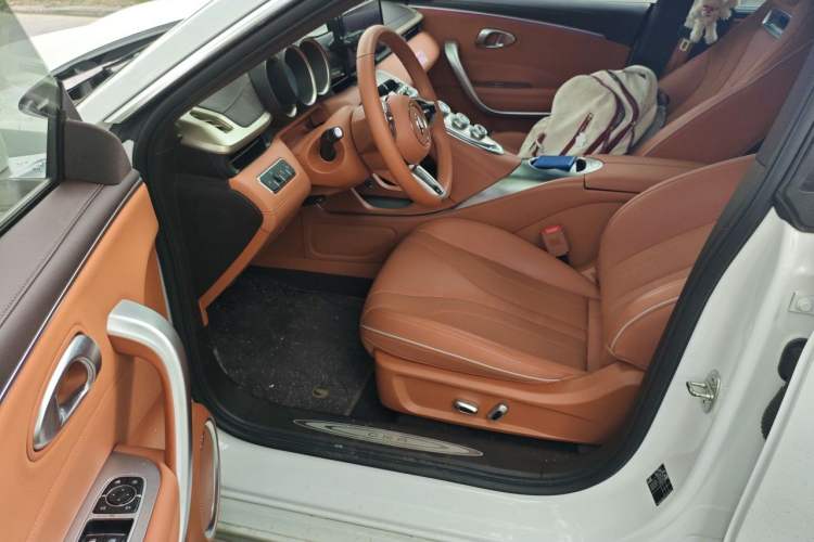 Used ORA Lightning Cat 2022 555 km Luxury Edition Driver Seat