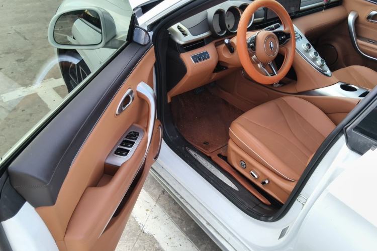 Used ORA Lightning Cat 2022 555 km Luxury Edition Driver Seat
