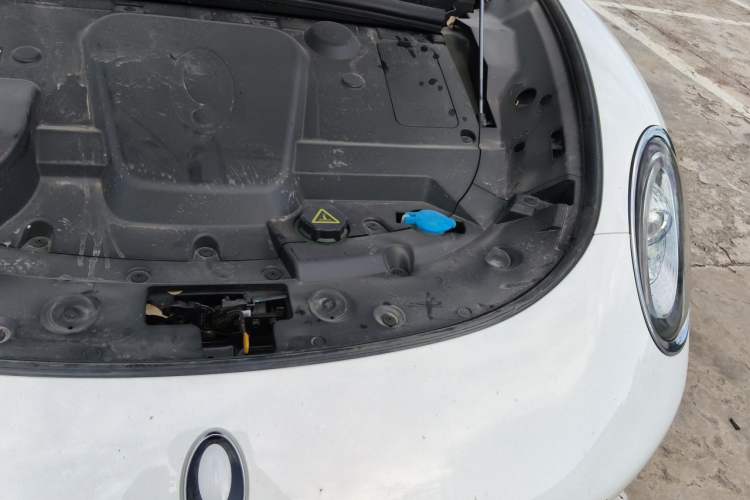 Used ORA Lightning Cat 2022 555 km Luxury Edition Engine Bay Left