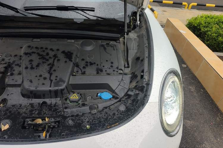Used ORA Lightning Cat 2022 555 km Luxury Edition Engine Bay Left