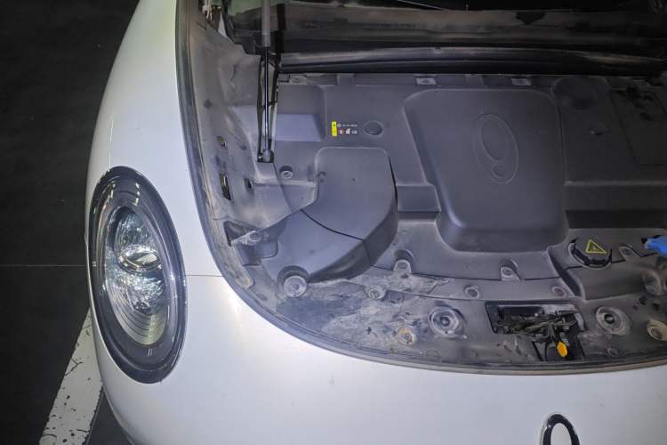 Used ORA Lightning Cat 2022 555 km Luxury Edition Engine Bay Right