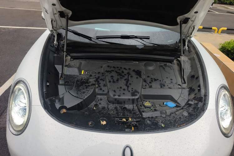 Used ORA Lightning Cat 2022 555 km Luxury Edition Engine Bay
