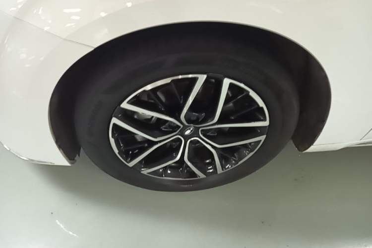 Used ORA Lightning Cat 2022 555 km Luxury Edition Exterior 4