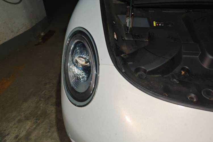 Used ORA Lightning Cat 2022 555 km Luxury Edition Exterior 6