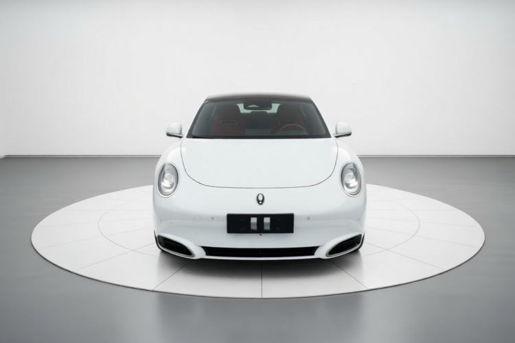 Used ORA Lightning Cat 2022 555 km Luxury Edition Front
