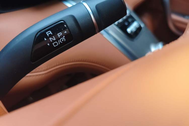 Used ORA Lightning Cat 2022 555 km Luxury Edition Gear Lever