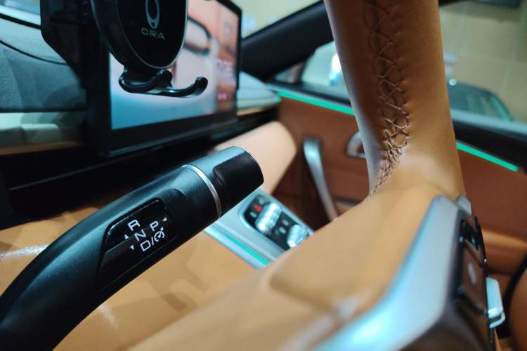 Used ORA Lightning Cat 2022 555 km Luxury Edition Gear Lever
