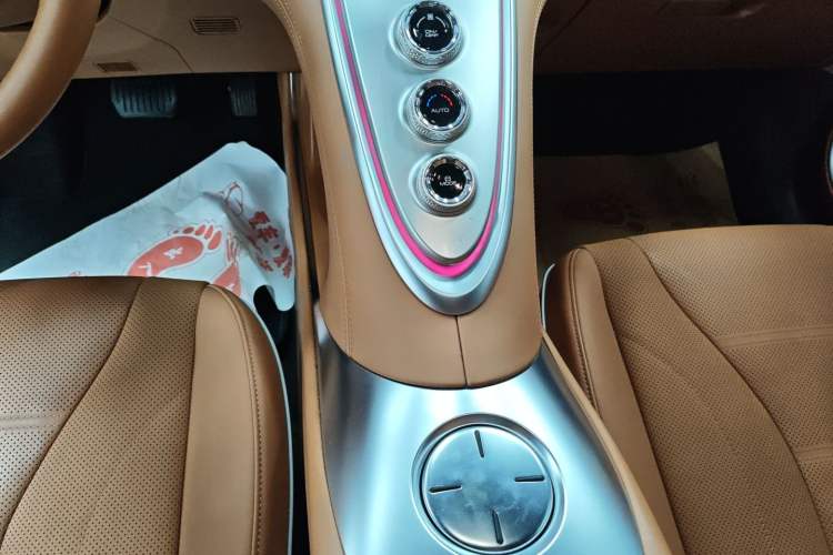 Used ORA Lightning Cat 2022 555 km Luxury Edition Gear Lever