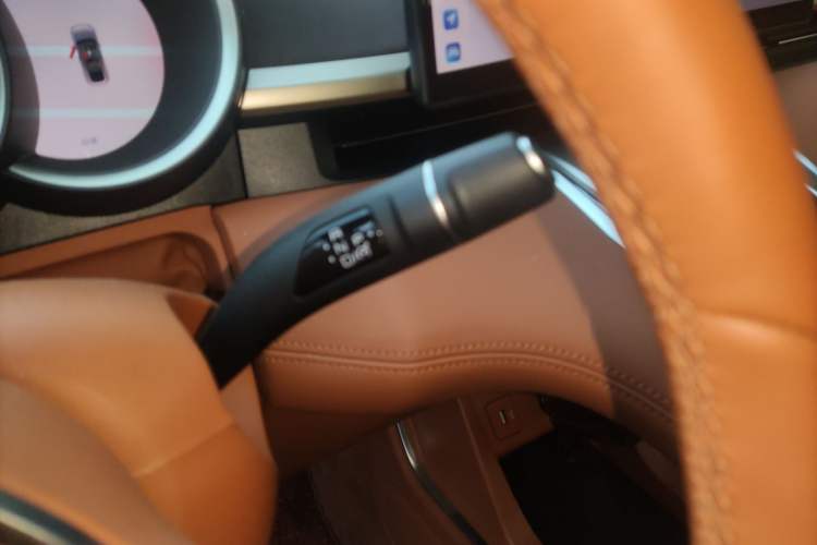 Used ORA Lightning Cat 2022 555 km Luxury Edition Gear Lever