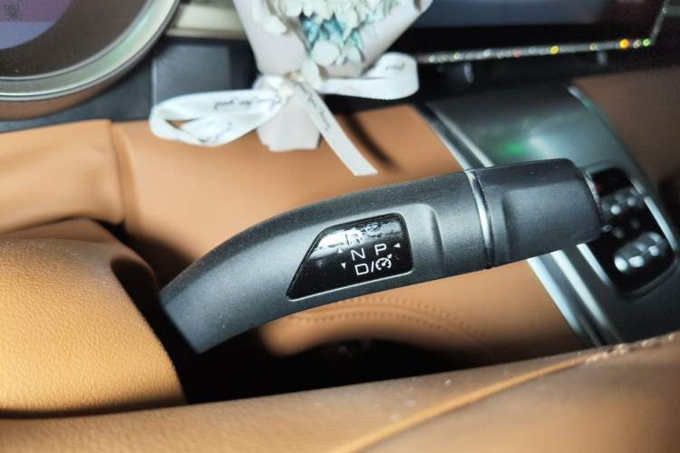 Used ORA Lightning Cat 2022 555 km Luxury Edition Gear Lever