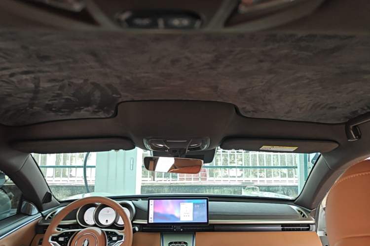 Used ORA Lightning Cat 2022 555 km Luxury Edition Headliner