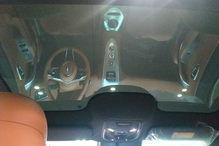 Used ORA Lightning Cat 2022 555 km Luxury Edition Headliner