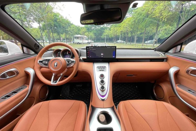 Used ORA Lightning Cat 2022 555 km Luxury Edition Interior 1