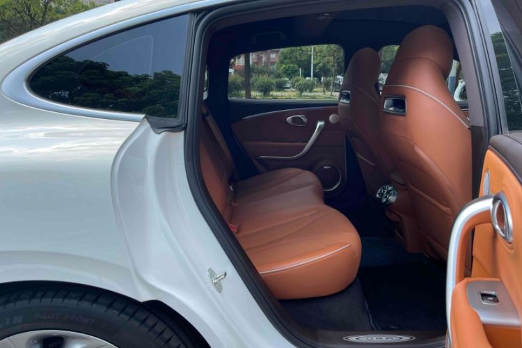 Used ORA Lightning Cat 2022 555 km Luxury Edition Interior 10