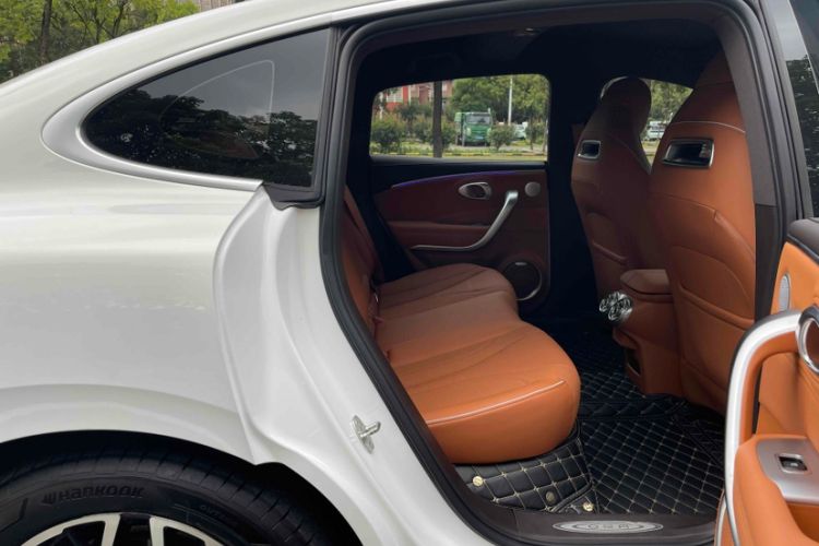 Used ORA Lightning Cat 2022 555 km Luxury Edition Interior 11