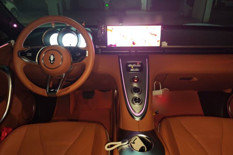 Used ORA Lightning Cat 2022 555 km Luxury Edition Interior 2