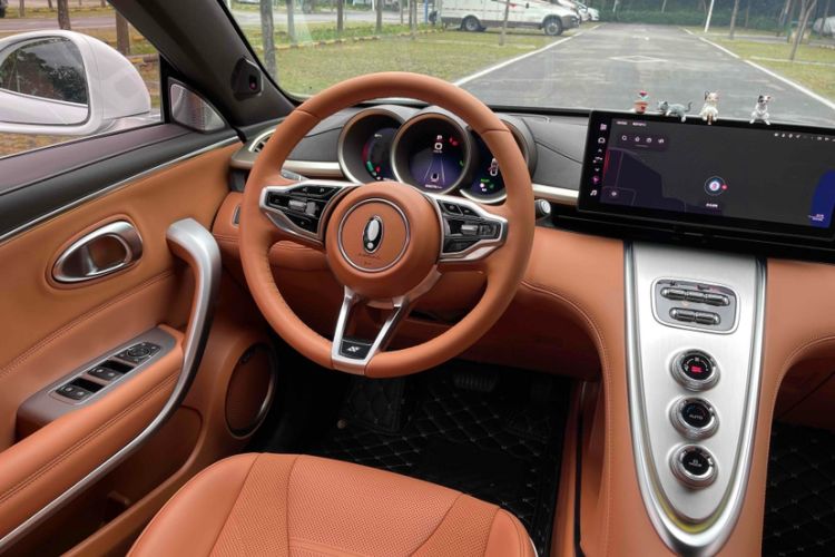 Used ORA Lightning Cat 2022 555 km Luxury Edition Interior 2