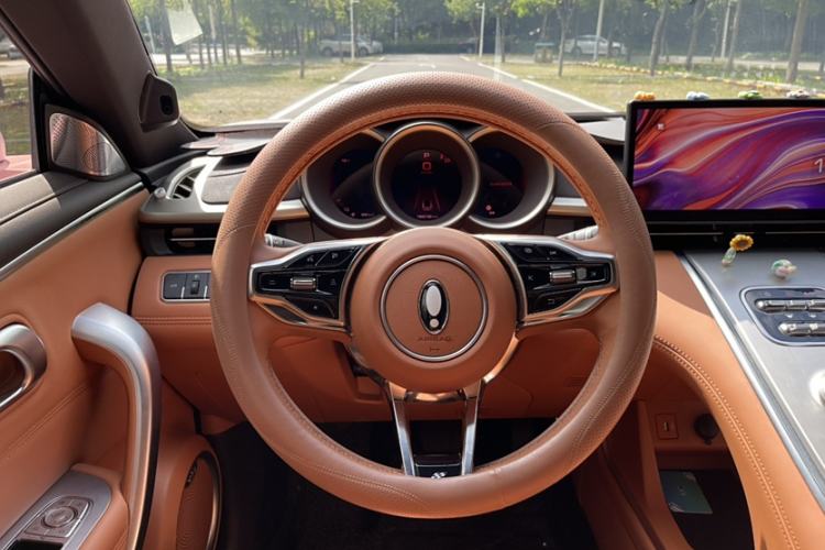 Used ORA Lightning Cat 2022 555 km Luxury Edition Interior 2
