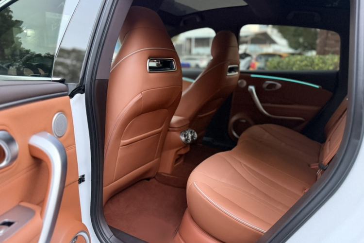 Used ORA Lightning Cat 2022 555 km Luxury Edition Interior 2