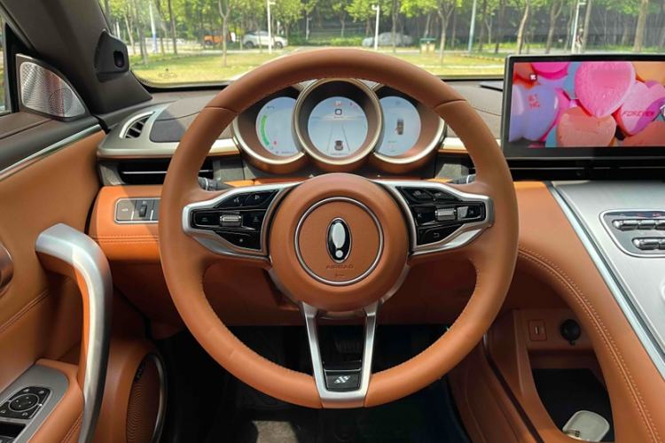 Used ORA Lightning Cat 2022 555 km Luxury Edition Interior 3