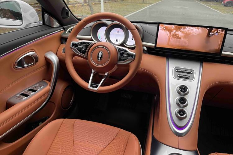 Used ORA Lightning Cat 2022 555 km Luxury Edition Interior 3